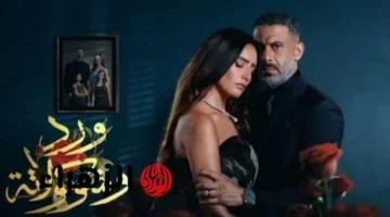 صلاح يهرب وخدعة الجثة تشعل الحلقة الأخيرة من مسلسل ورد وشوكولاتة بمفاجآت نارية